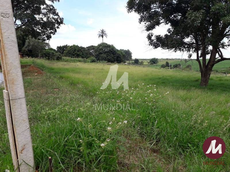 Terreno/Lote — foto 3