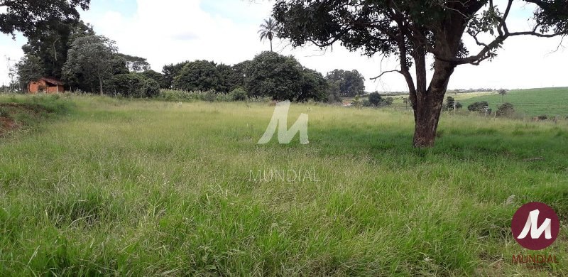 Terreno/Lote — foto 5