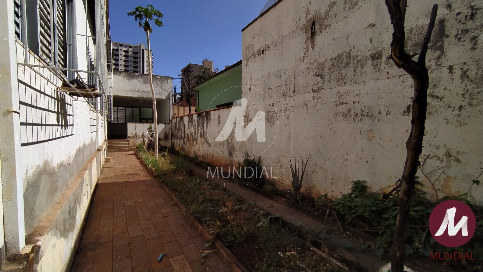 Quintal/corredores — foto 13