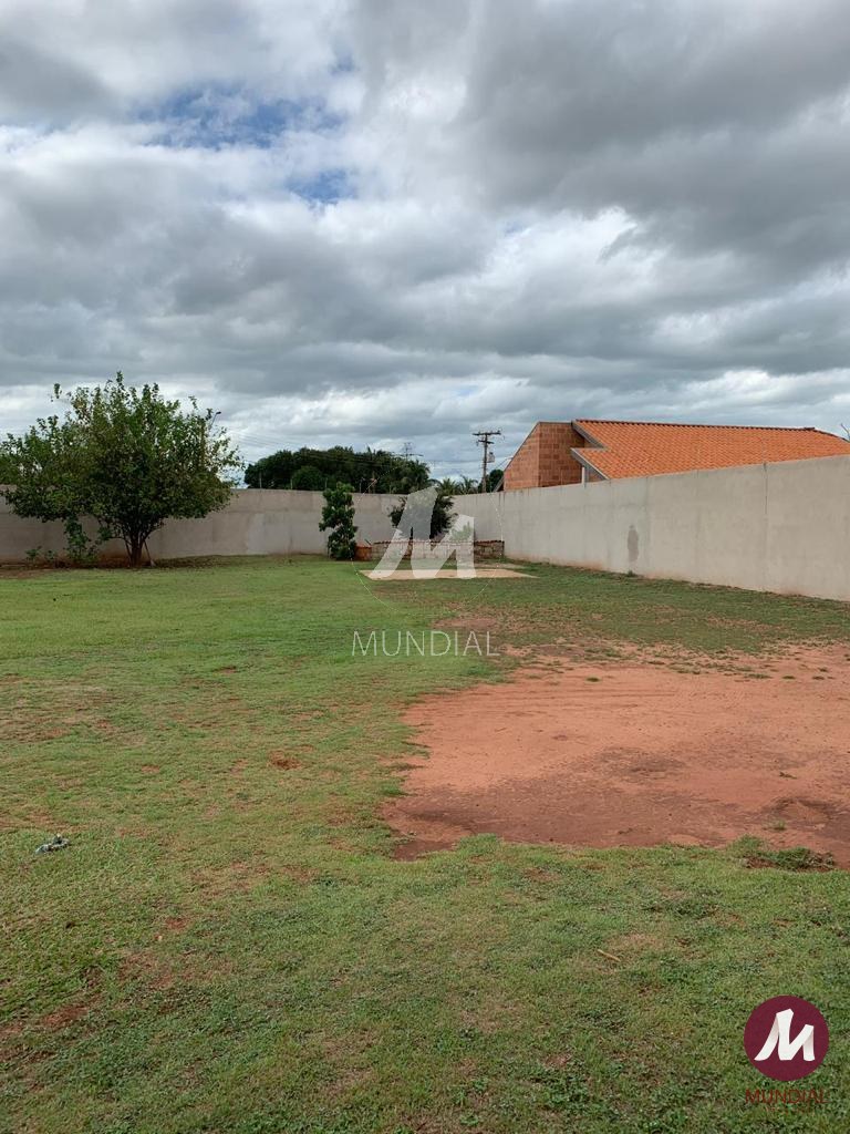 Quintal/corredores — foto 11