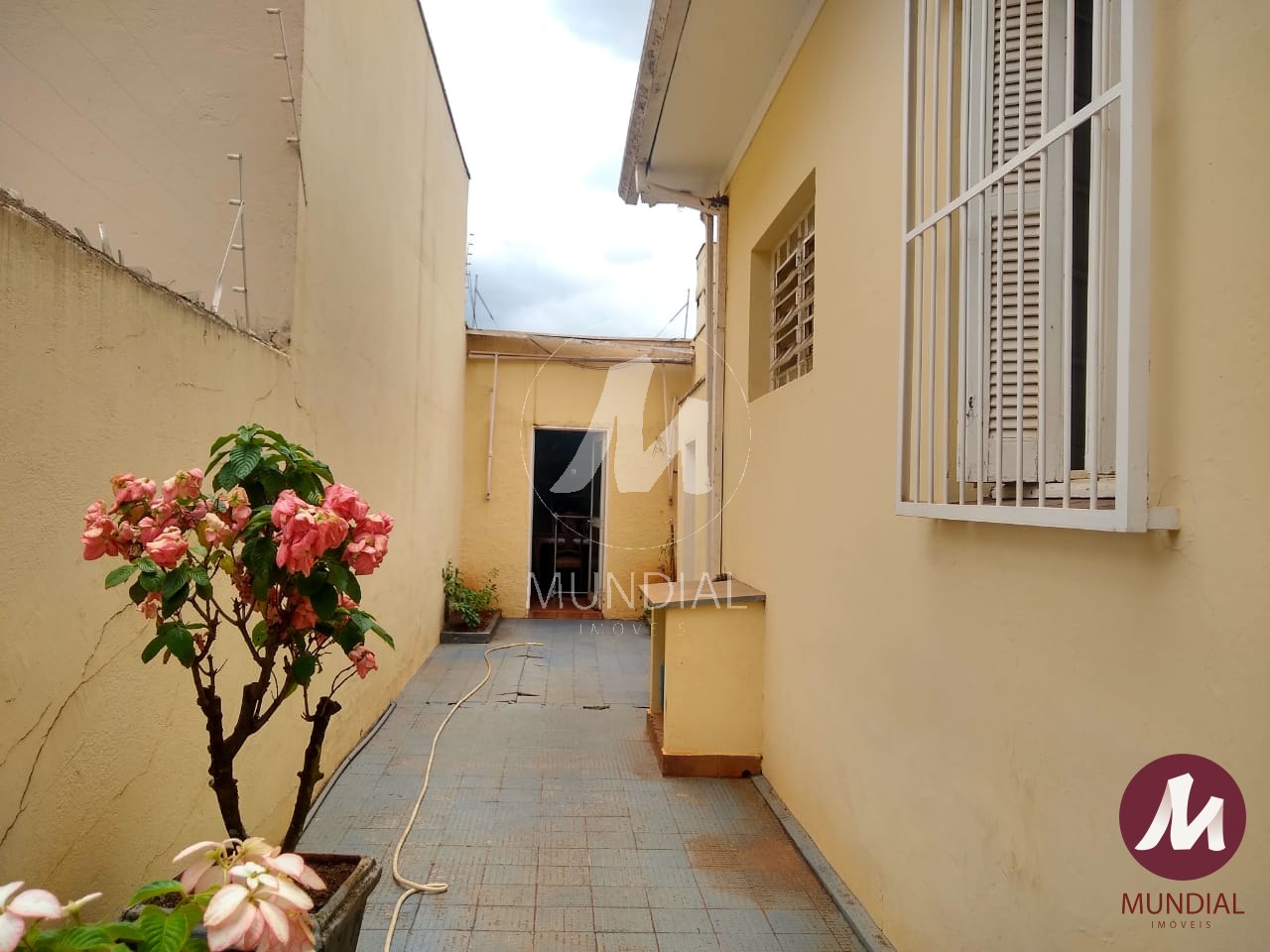 Quintal/corredores — foto 21