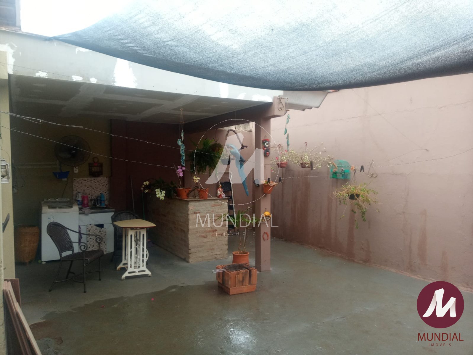 Quintal/corredores — foto 16