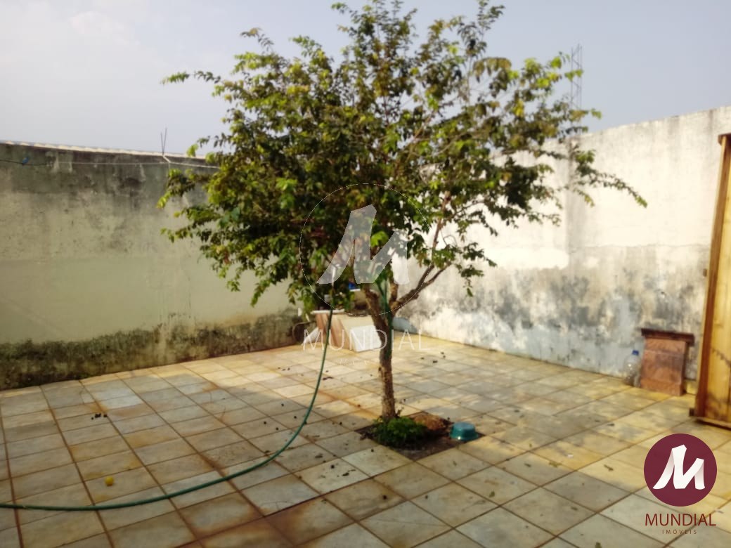 Quintal/corredores — foto 5