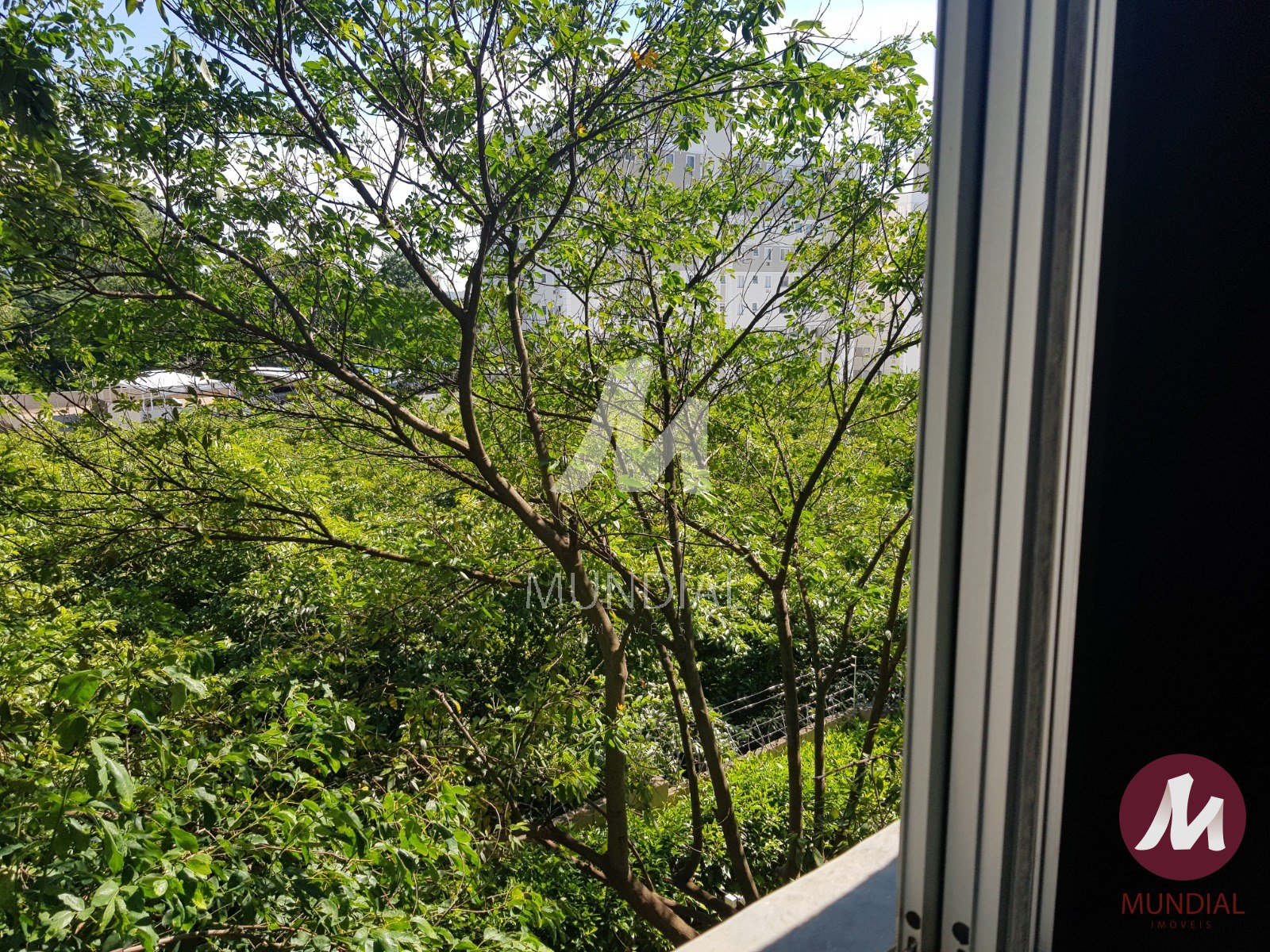 Vista do Imóvel — foto 18