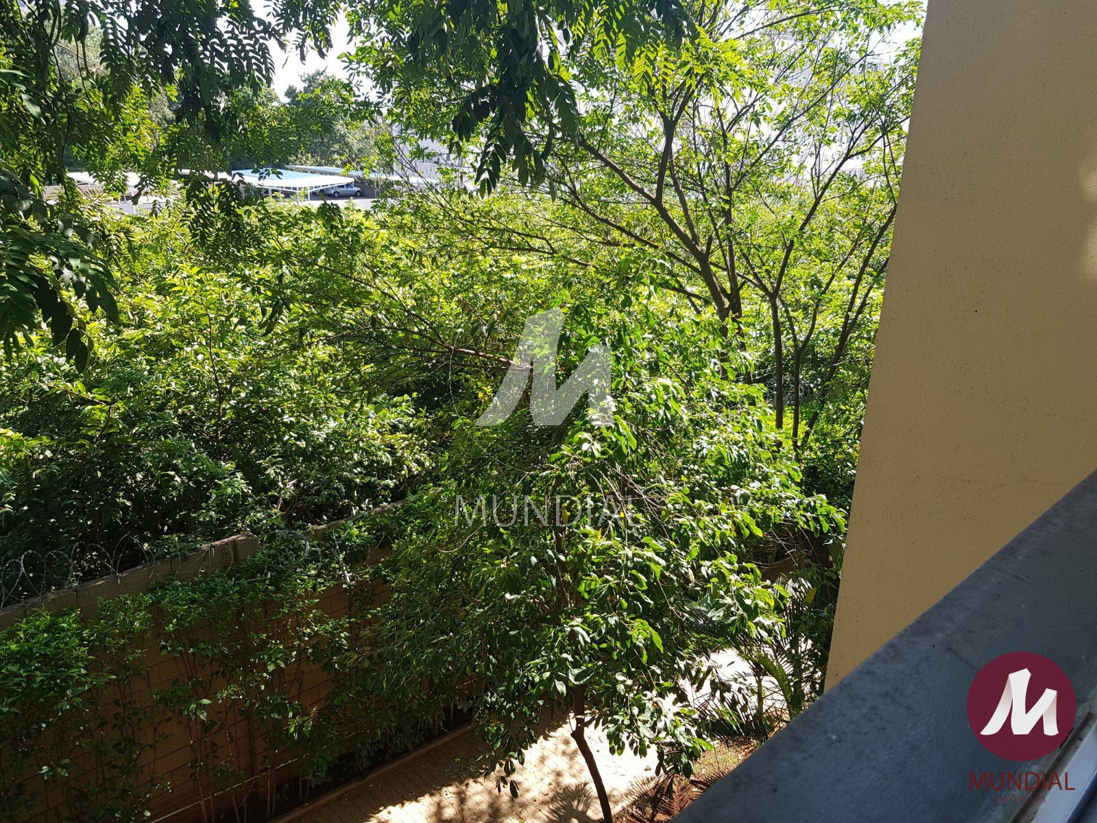 Vista do Imóvel — foto 26