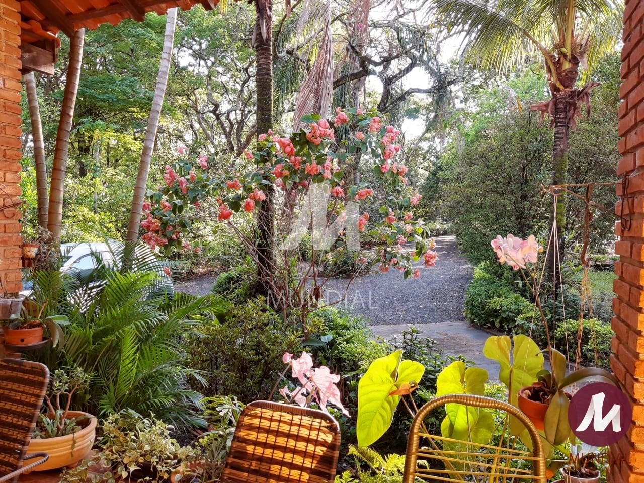 Jardim — foto 25