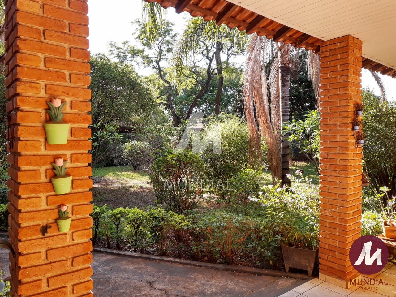 Jardim — foto 26