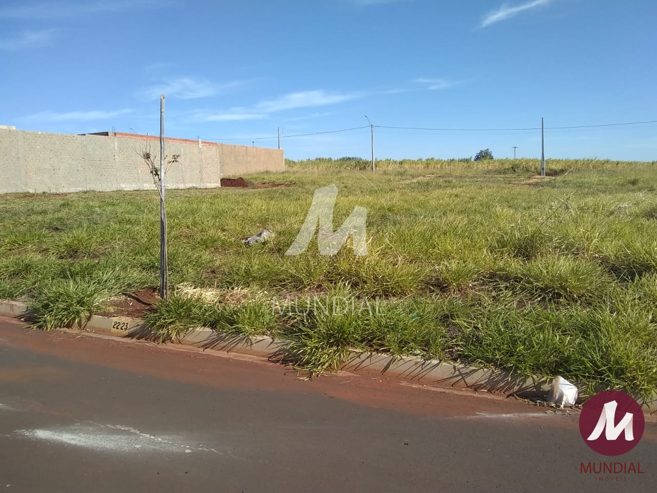 Terreno/Lote — foto 4