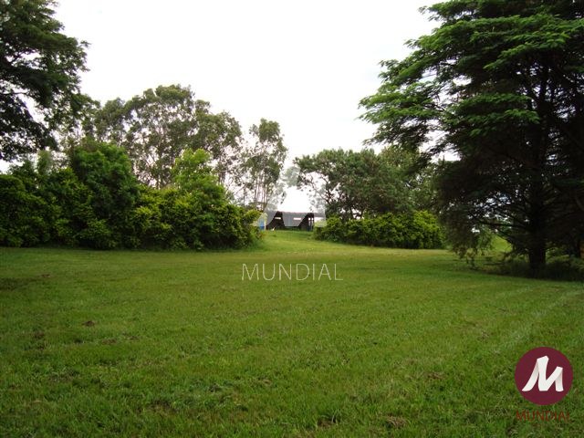 Outras — foto 5
