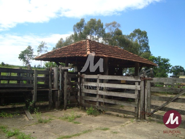 Outras — foto 11