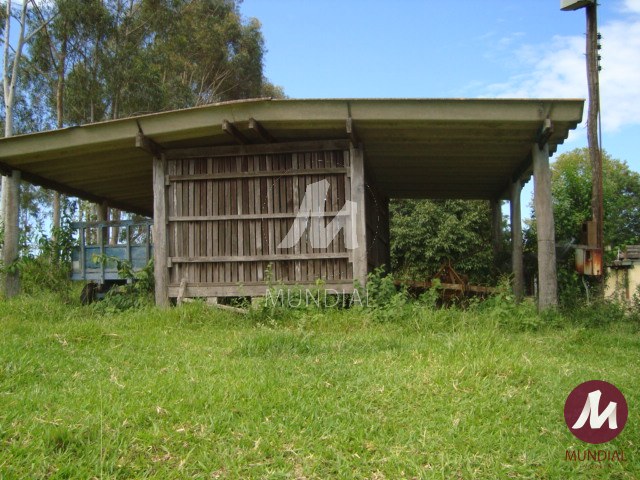 Outras — foto 12