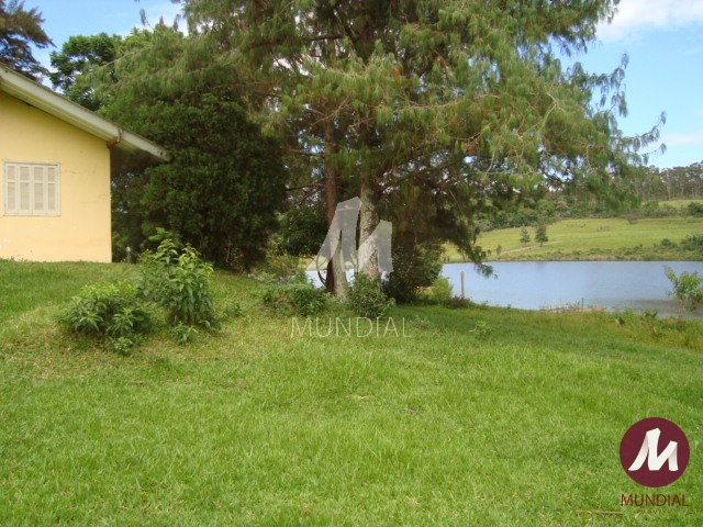 Outras — foto 13