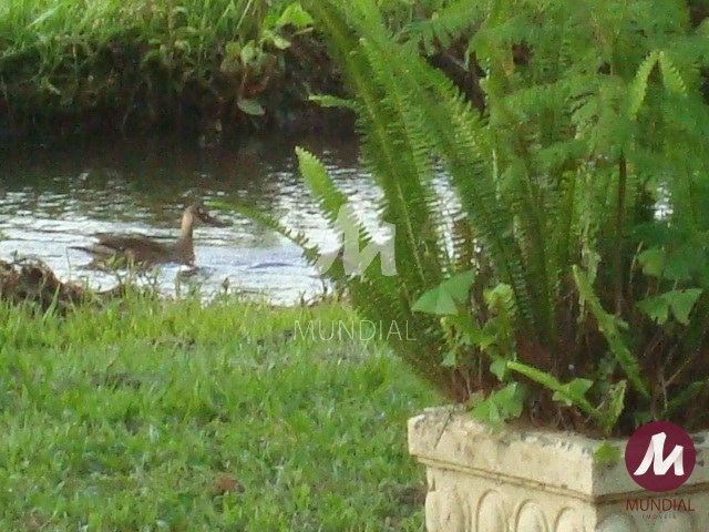 Outras — foto 14
