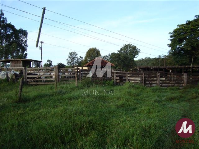 Outras — foto 15