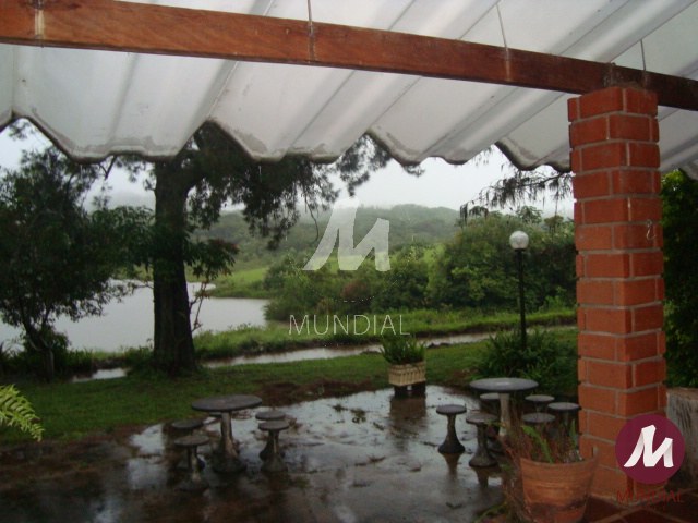 Outras — foto 21