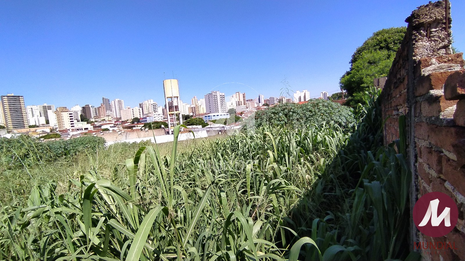 Terreno/Lote — foto 4