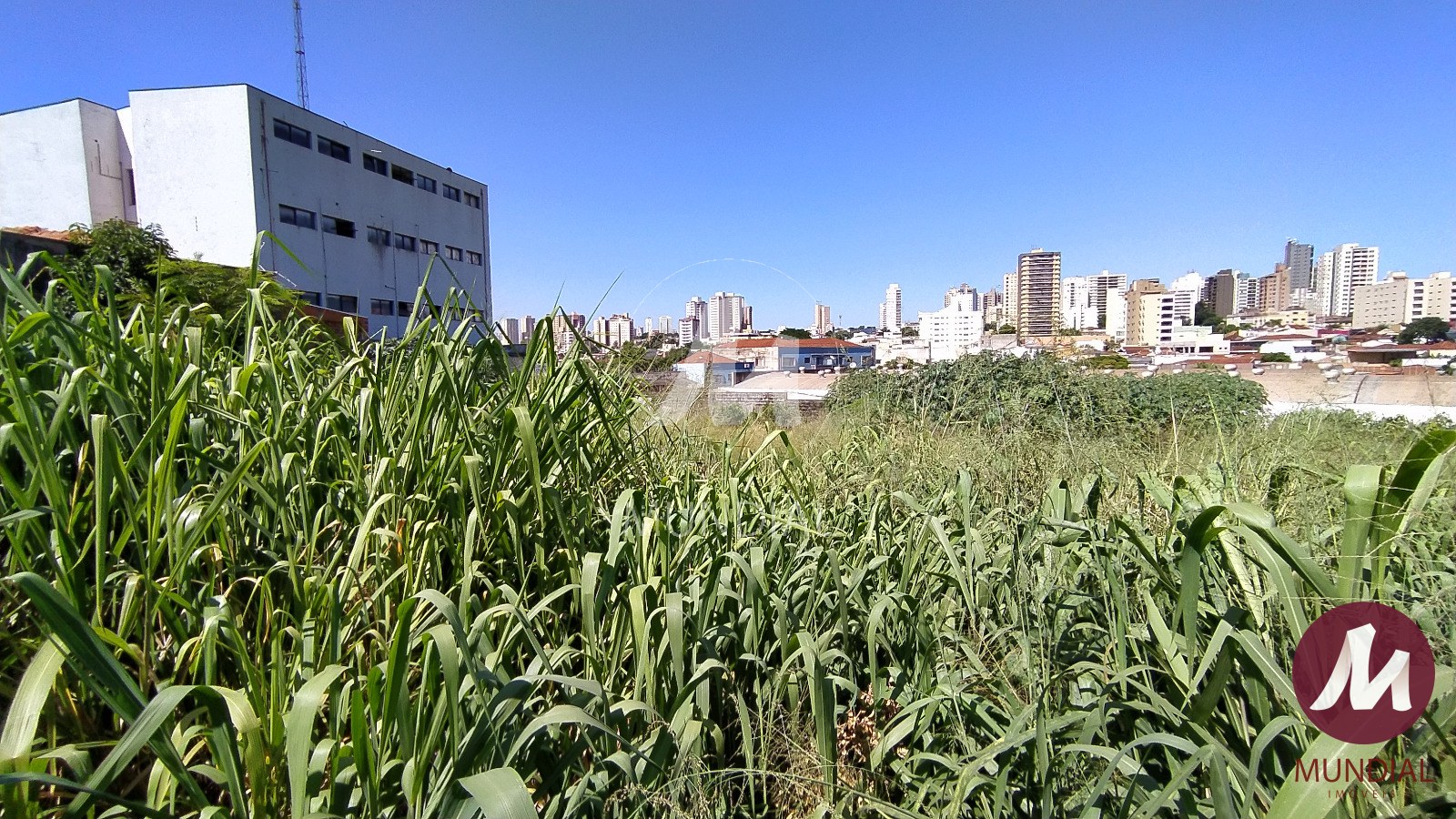 Terreno/Lote — foto 5