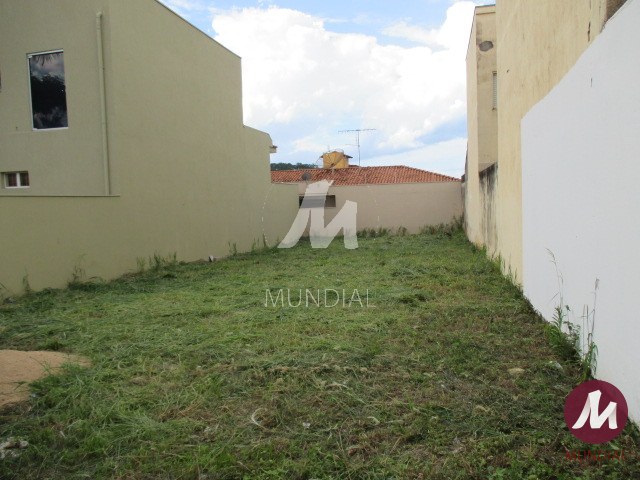 Terreno/Lote — foto 1