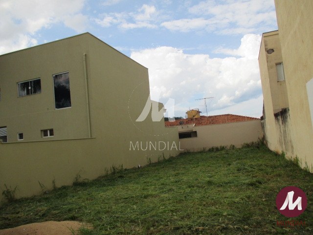Terreno/Lote — foto 3