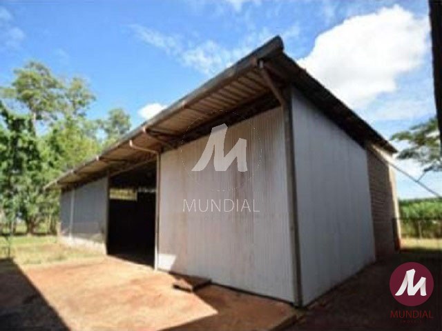 Outras — foto 12