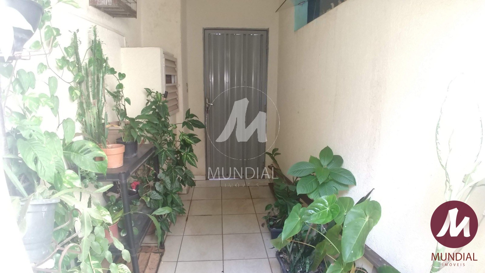 Quintal/corredores — foto 20