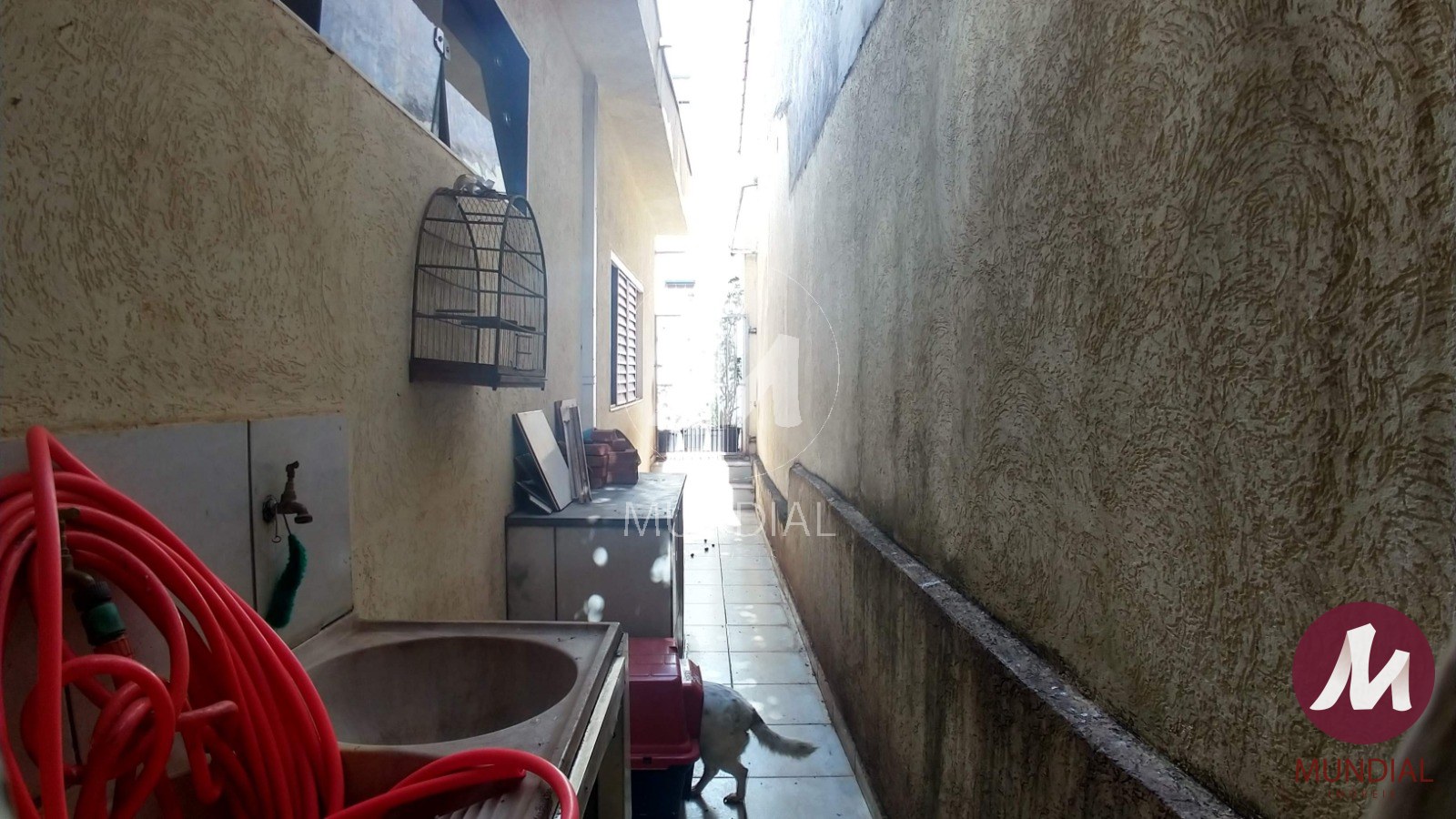 Quintal/corredores — foto 21