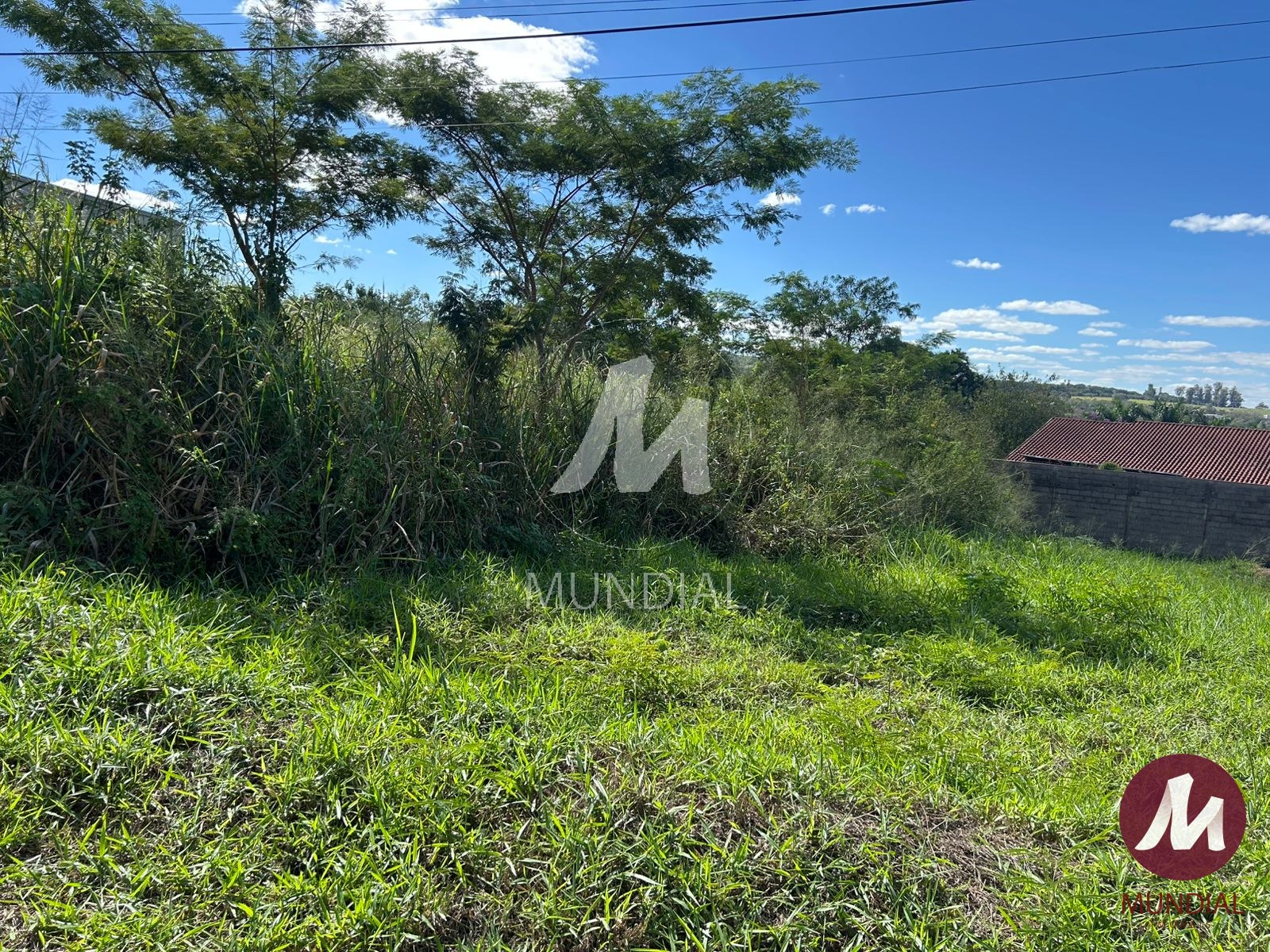 Terreno/Lote — foto 2