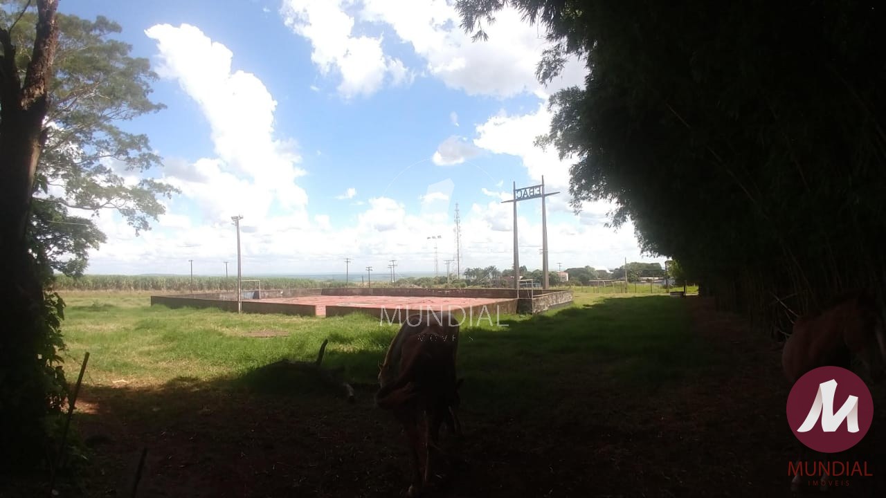 Outras — foto 17