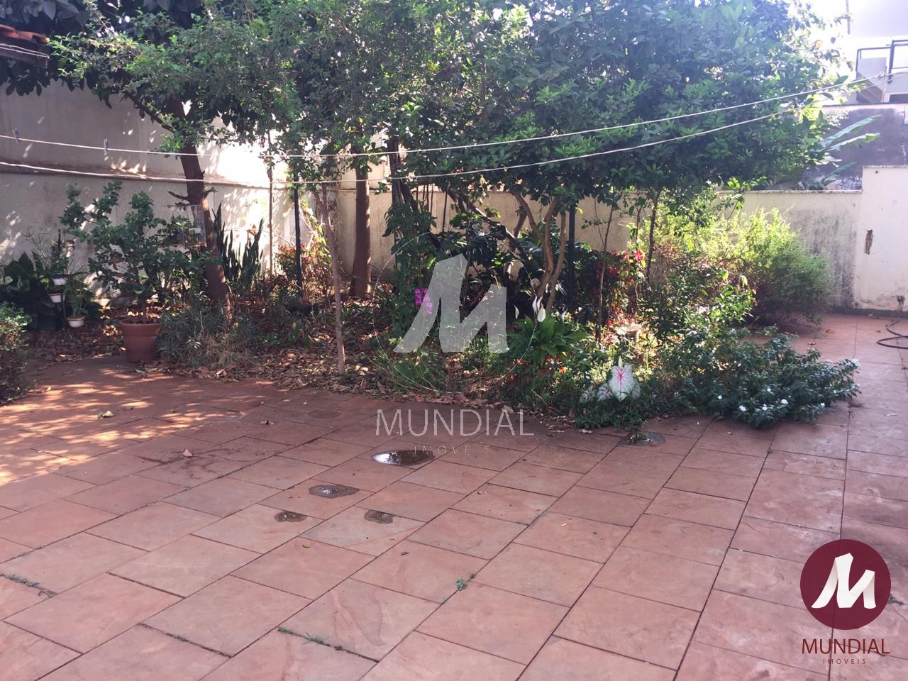 Quintal/corredores — foto 18