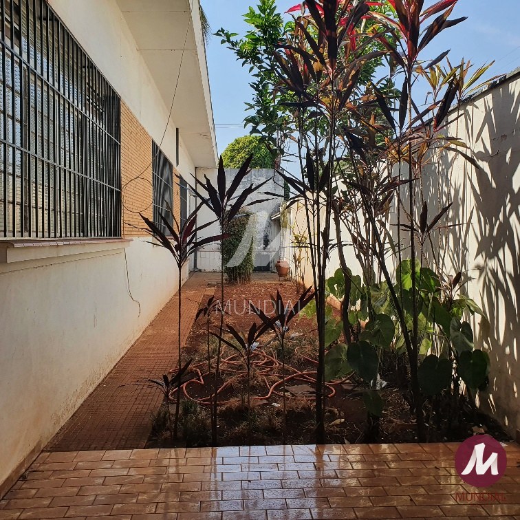 Quintal/corredores — foto 12