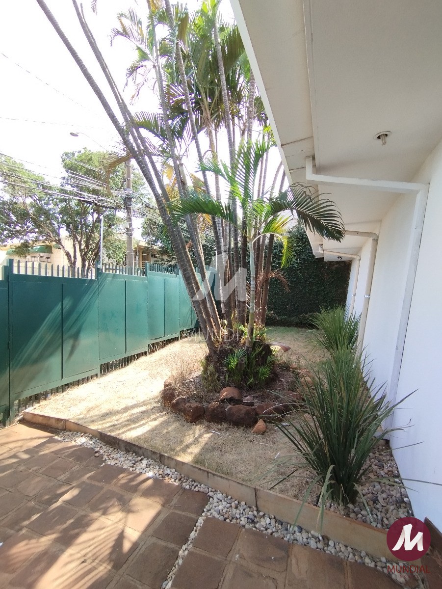 Jardim — foto 2