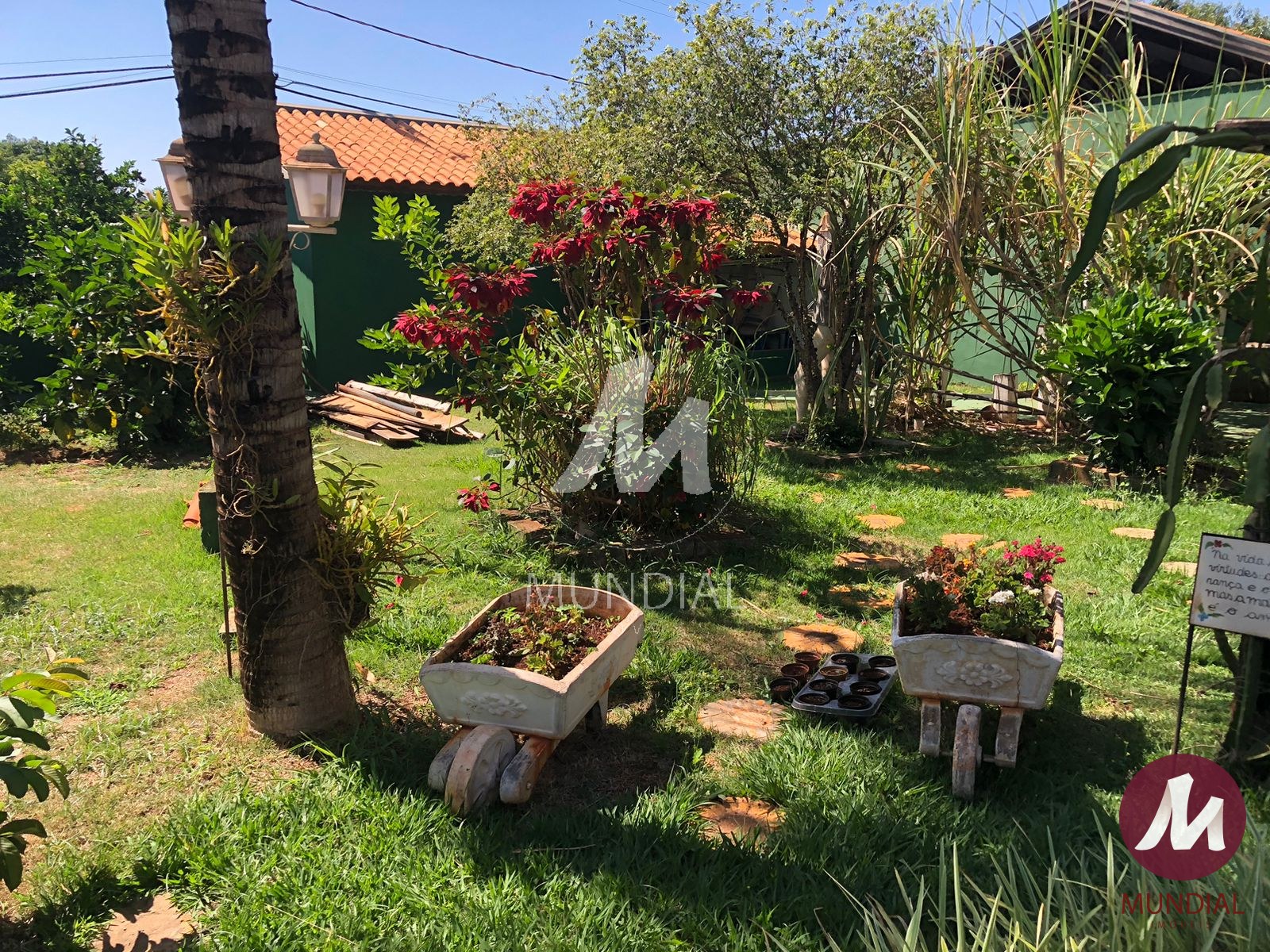 Jardim — foto 27