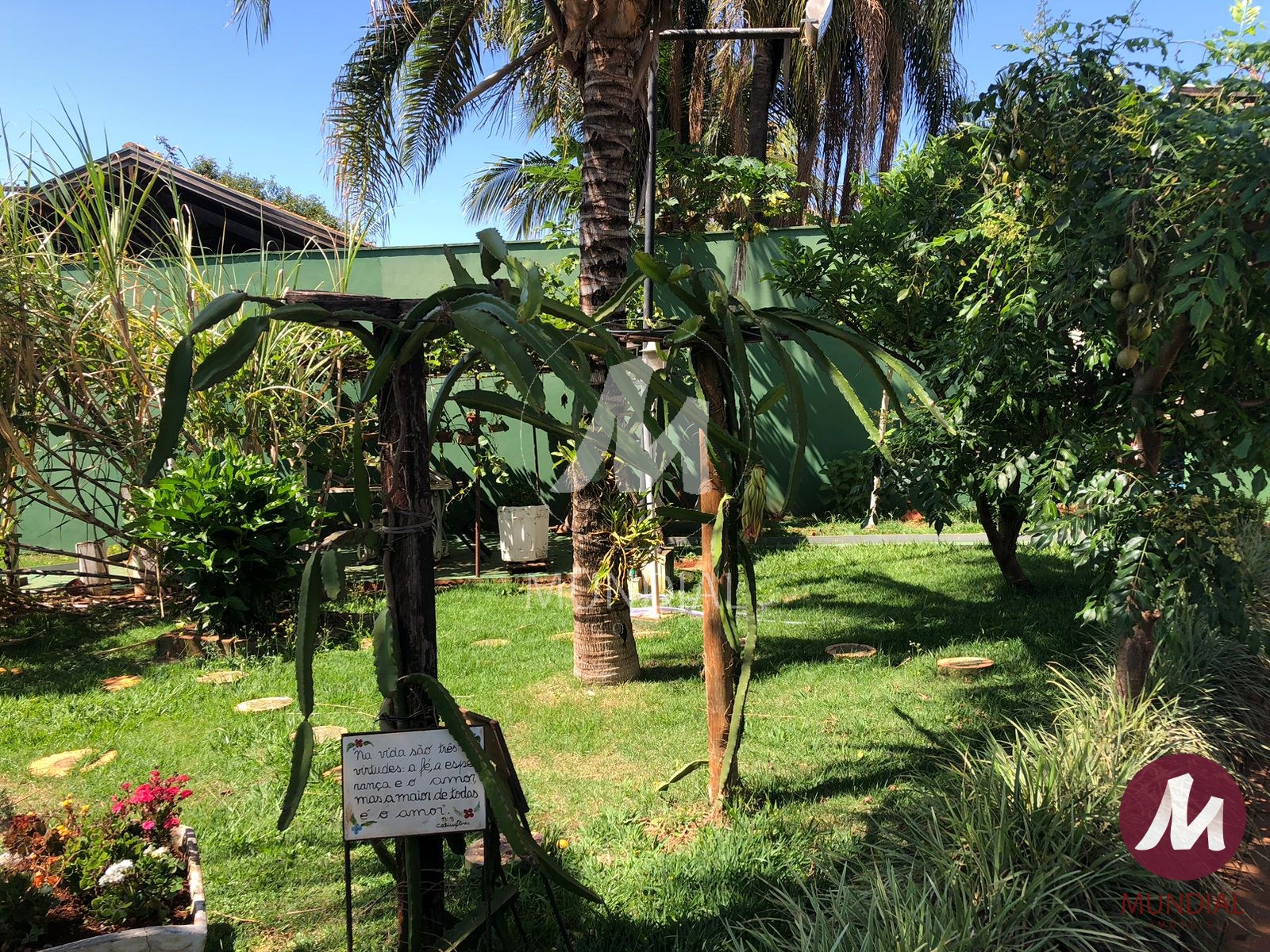Jardim — foto 28