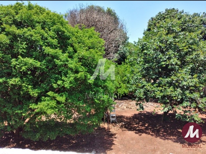 Outras — foto 11
