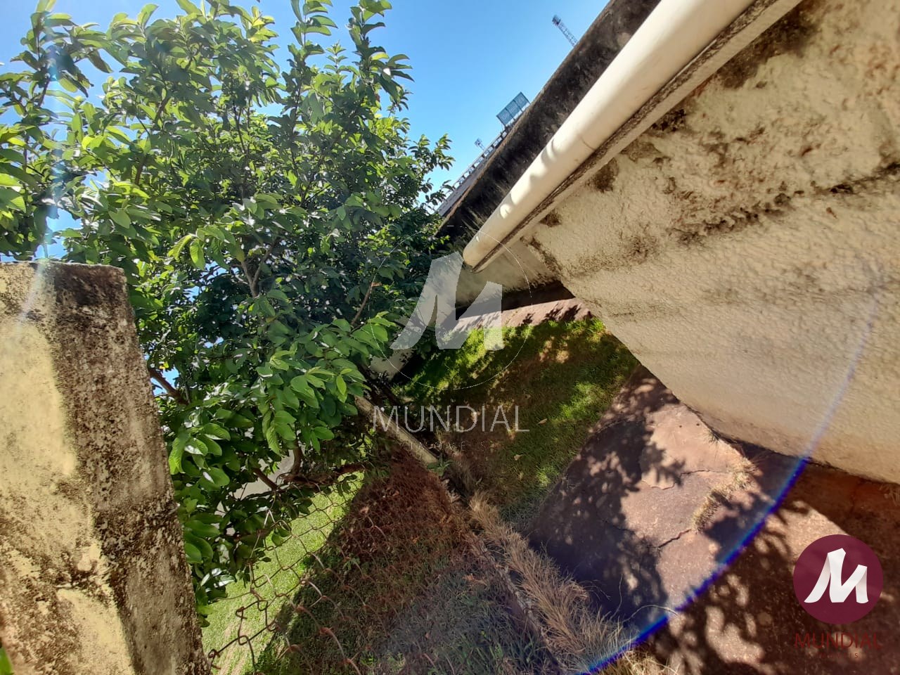 Quintal/corredores — foto 17