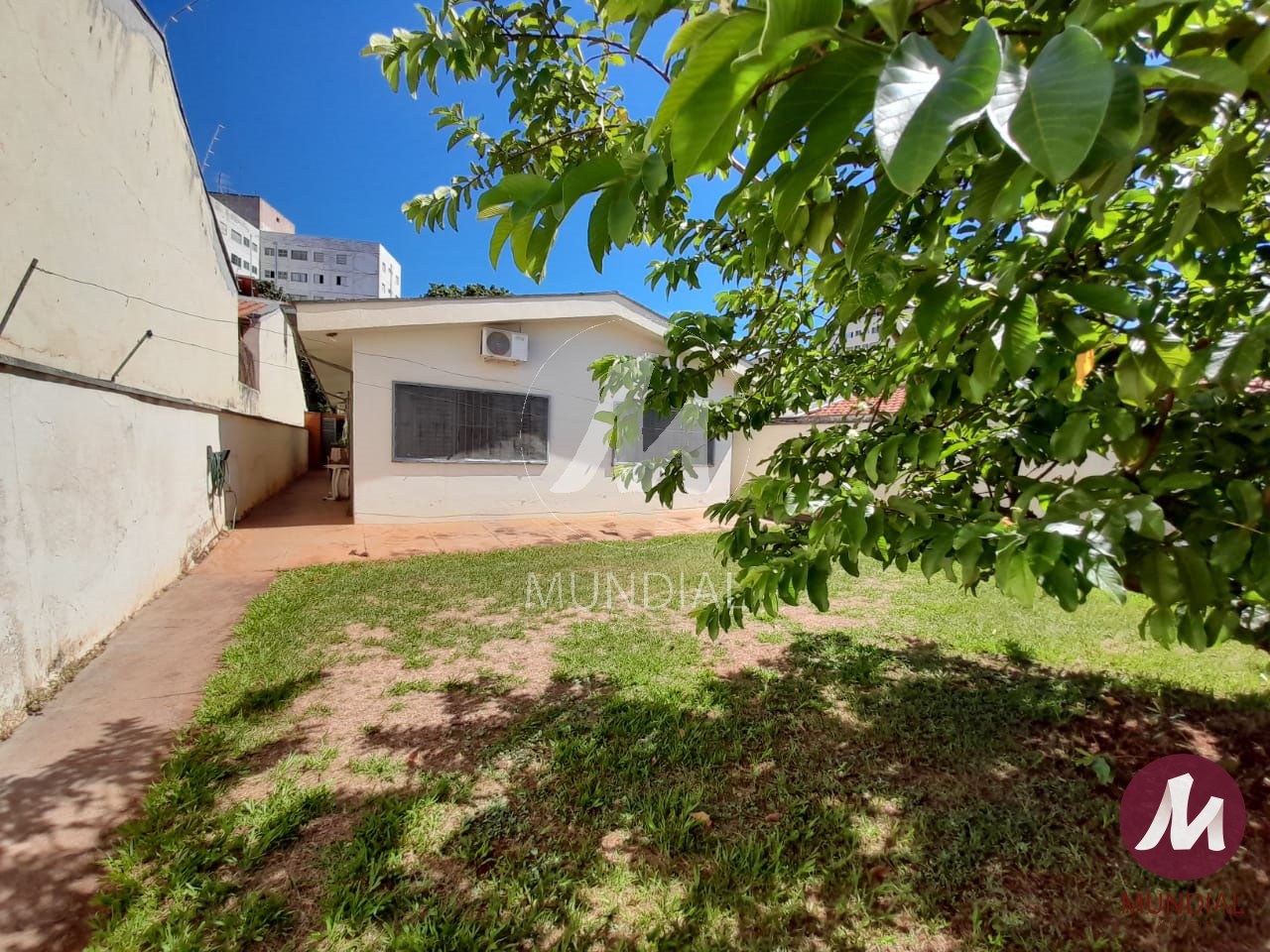 Quintal/corredores — foto 18