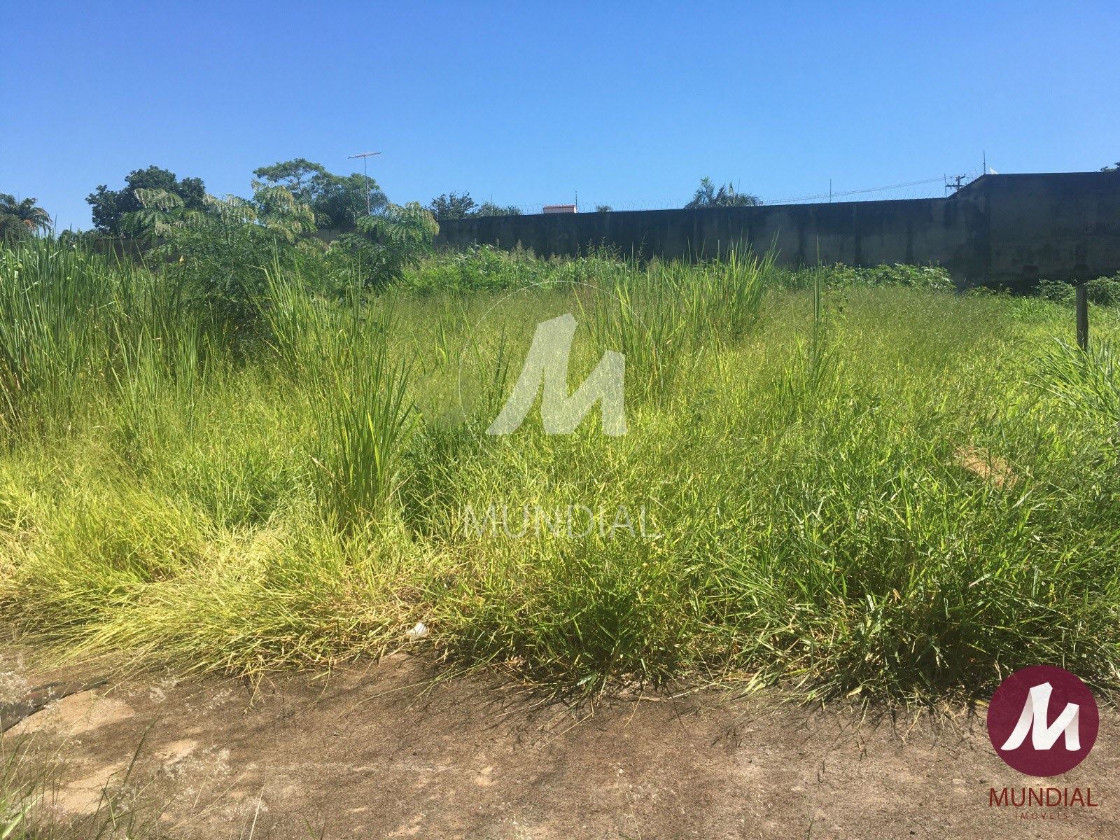 Terreno/Lote — foto 1