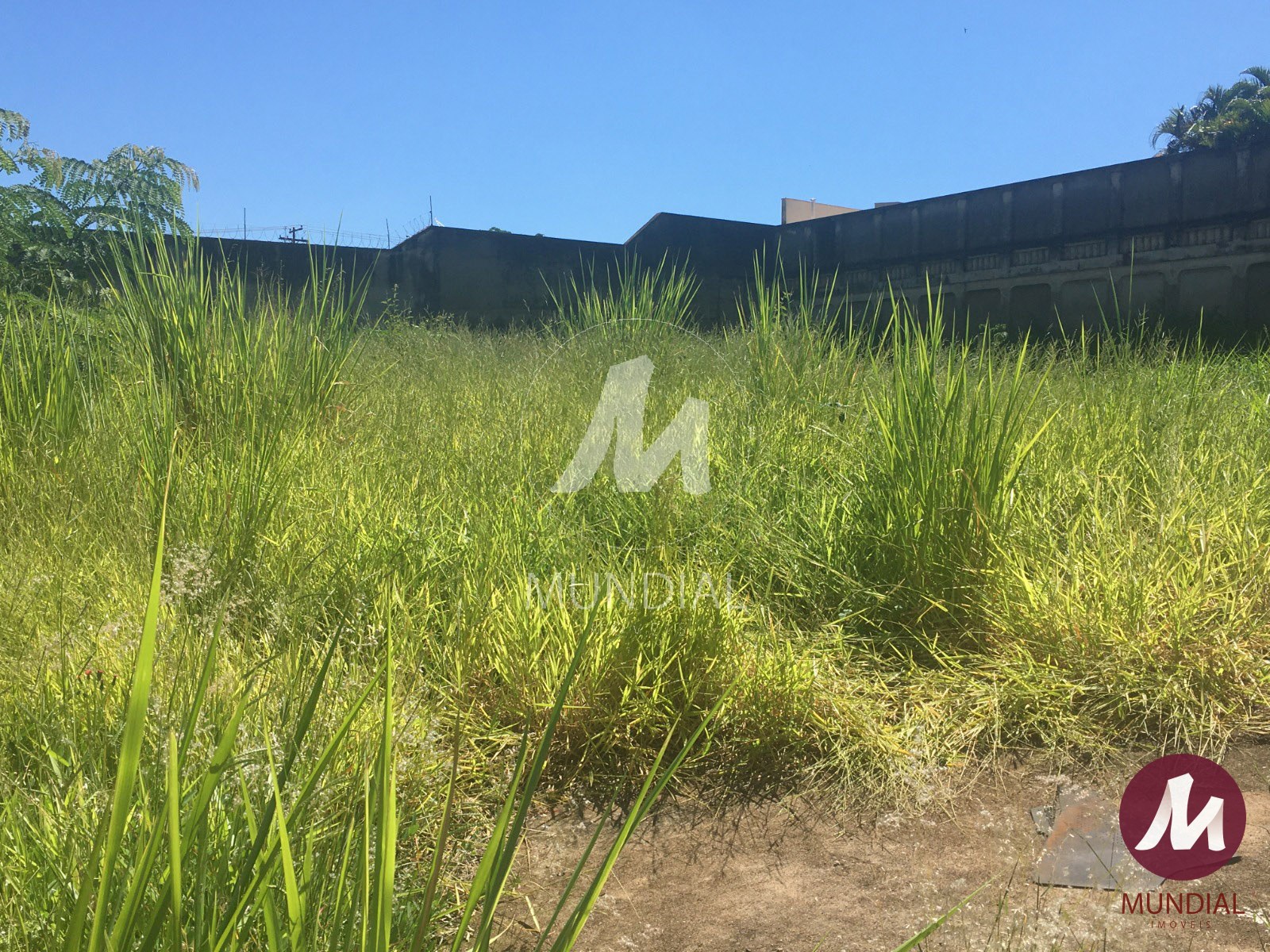 Terreno/Lote — foto 2