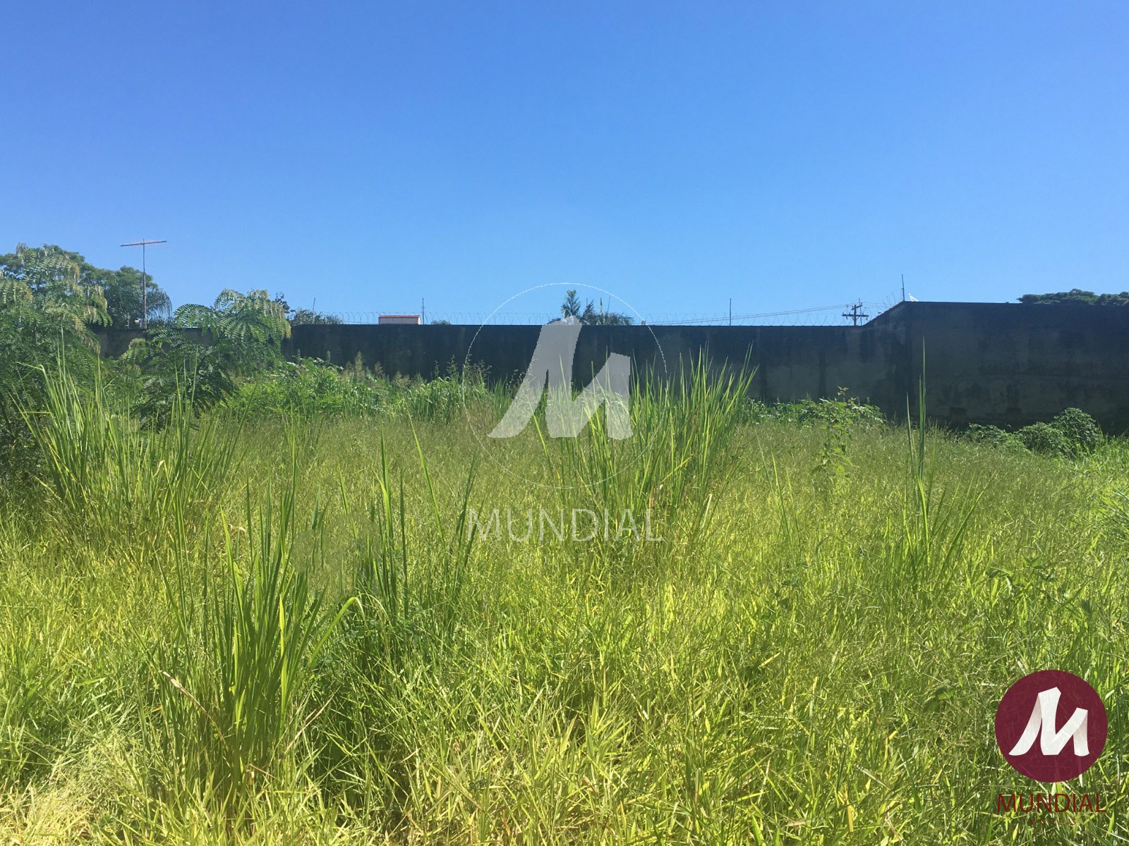 Terreno/Lote — foto 1