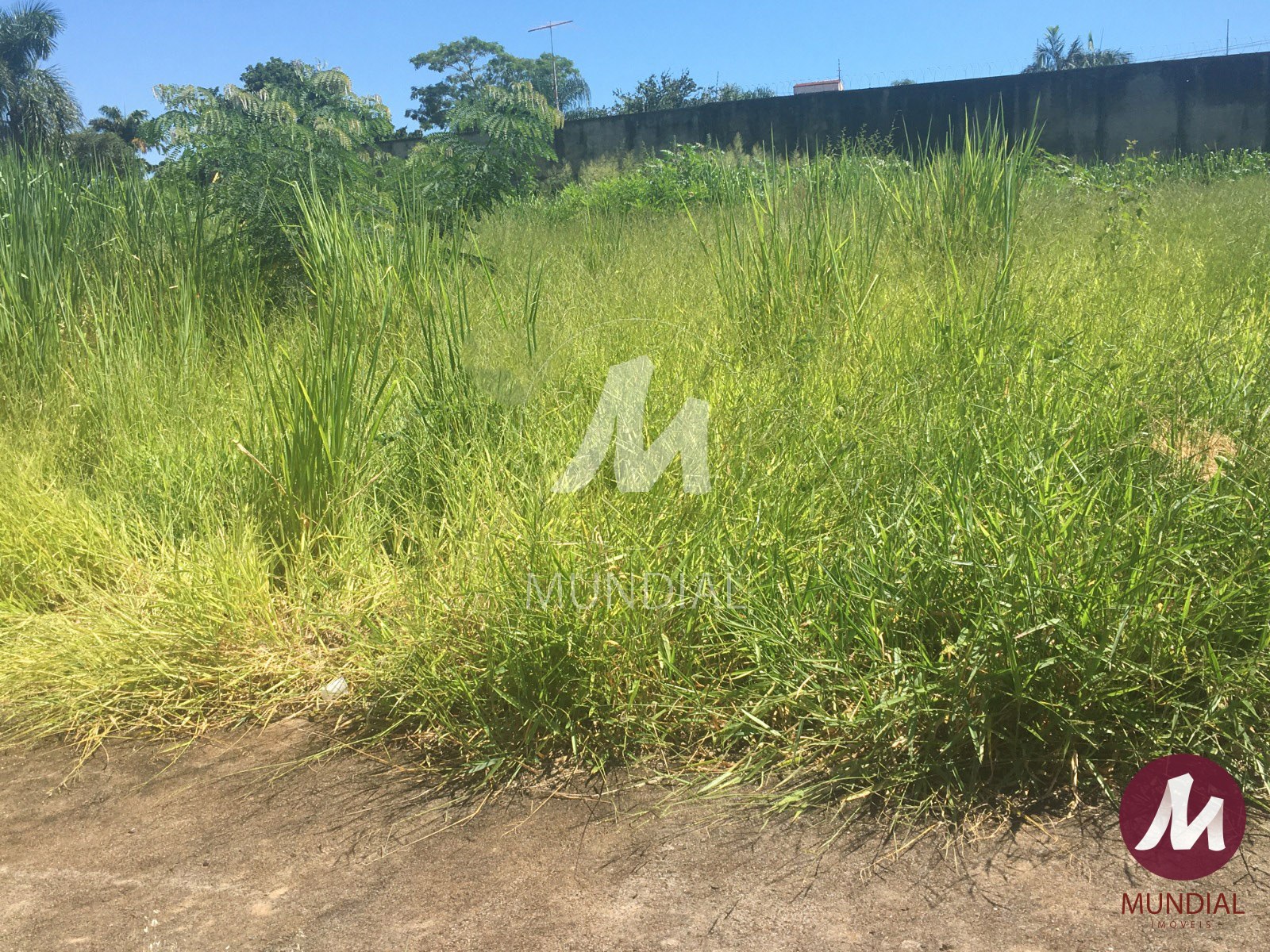 Terreno/Lote — foto 2