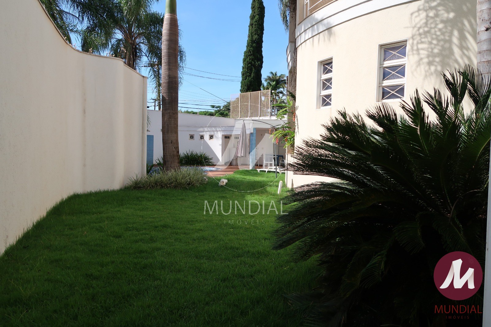 Jardim — foto 30