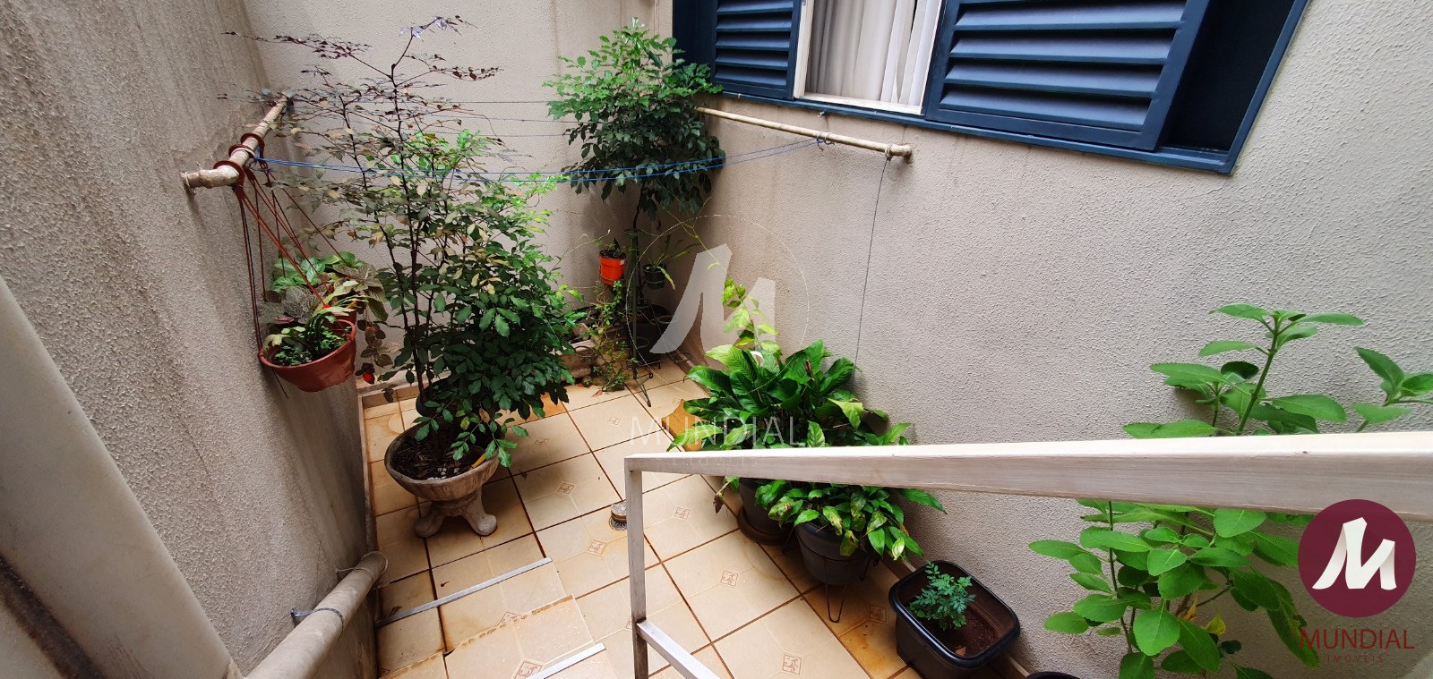 Quintal/corredores — foto 12