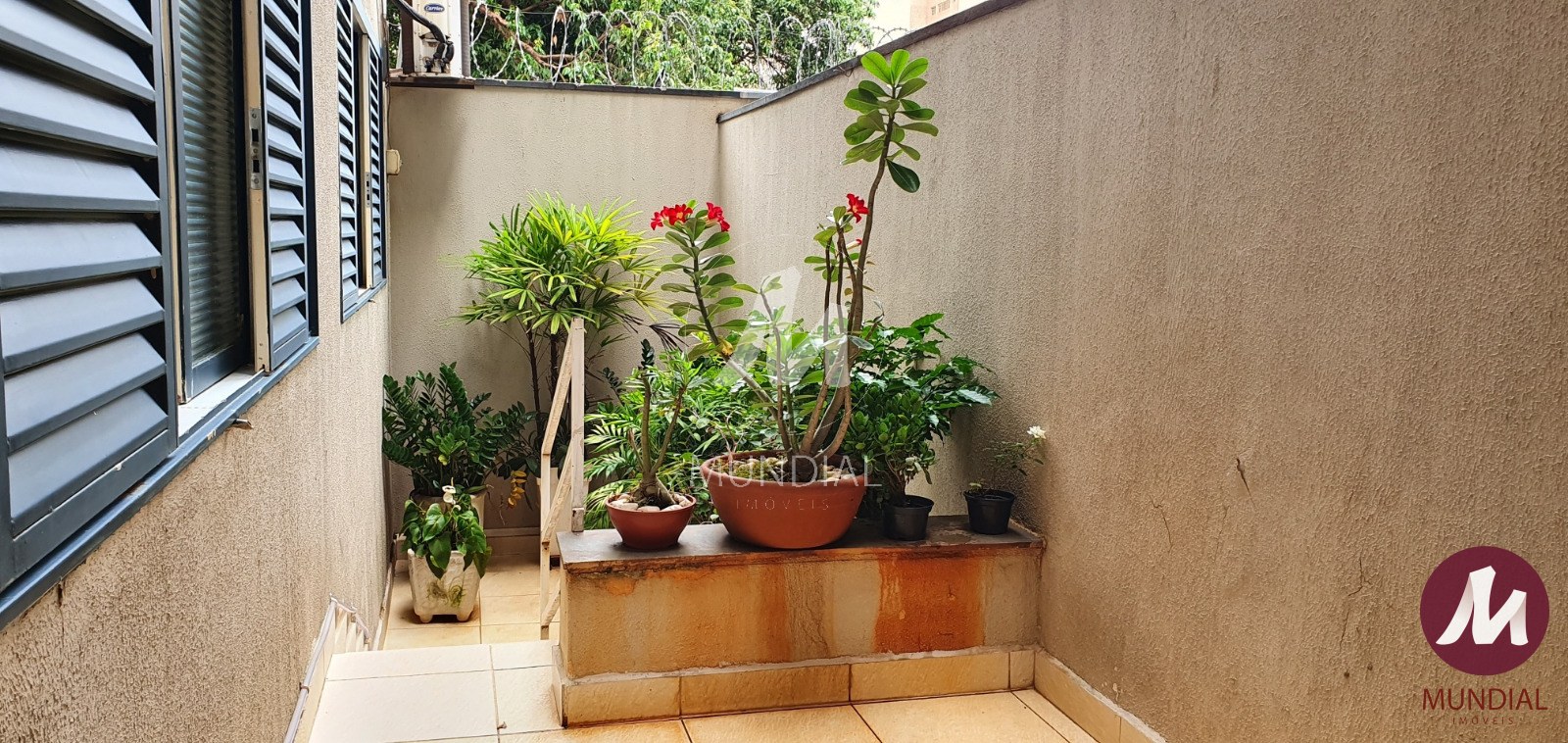 Quintal/corredores — foto 15