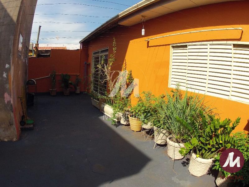 Quintal/corredores — foto 22