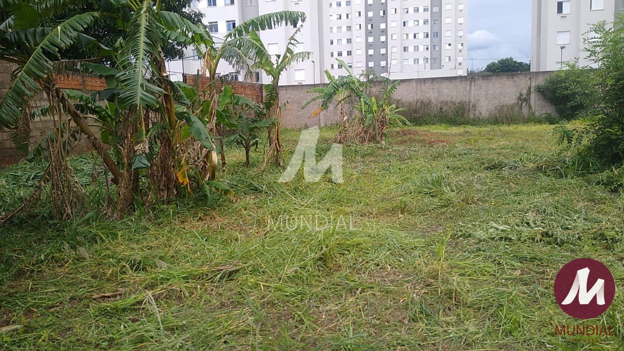 Terreno/Lote — foto 1