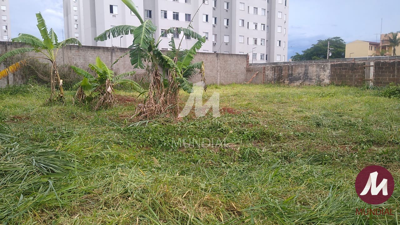 Terreno/Lote — foto 3