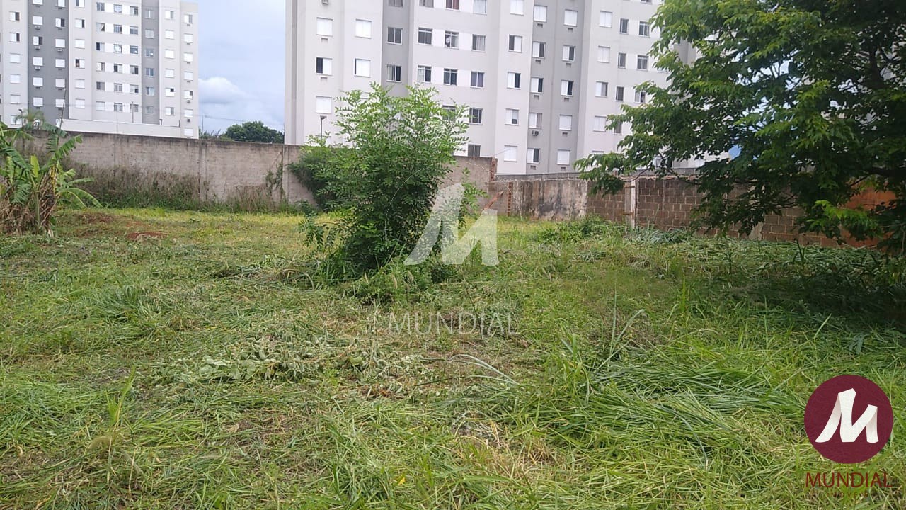 Terreno/Lote — foto 4