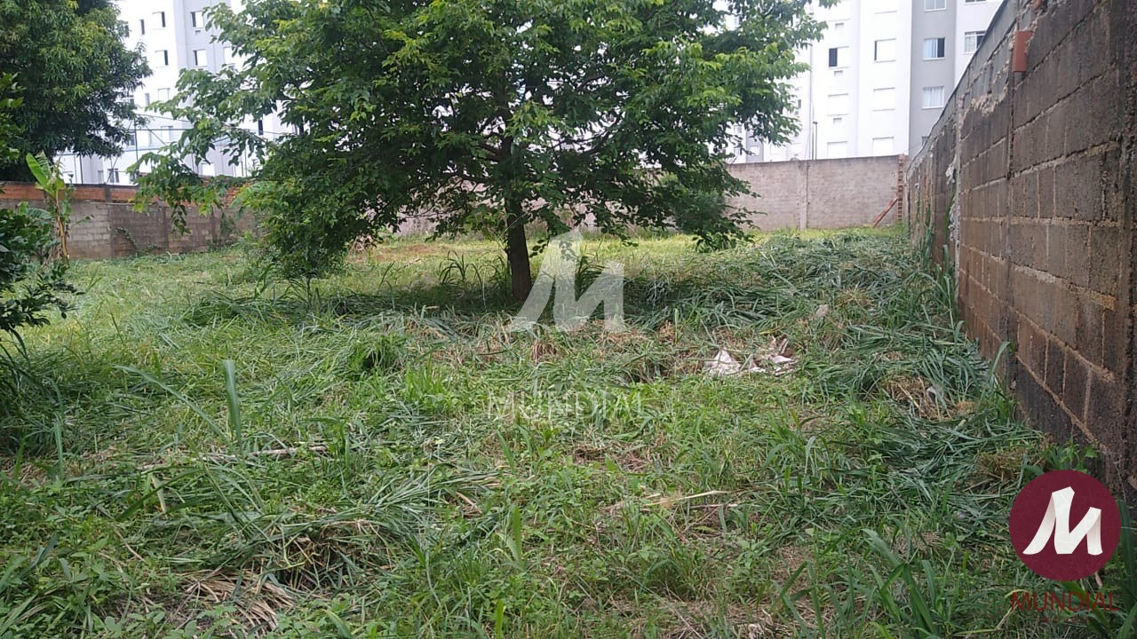 Terreno/Lote — foto 5