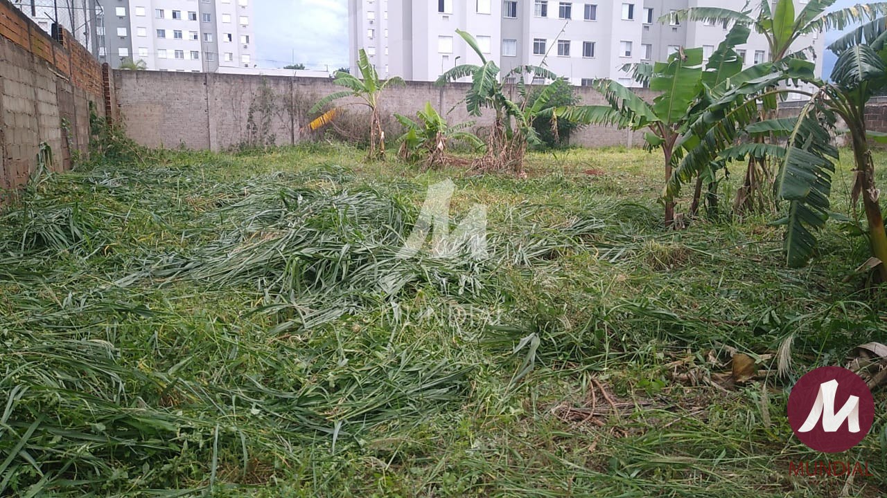Terreno/Lote — foto 6