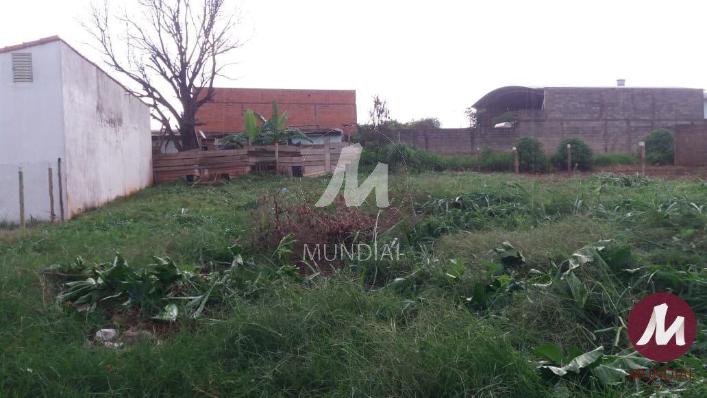Outras — foto 2